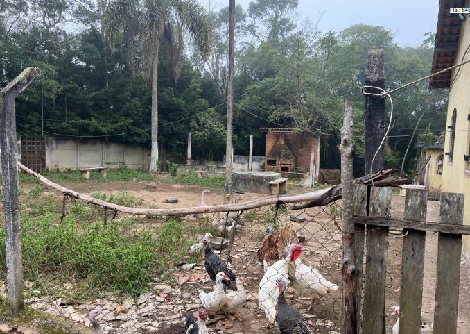 LOTE 1: Chácara com 27.200m² (AT) - Cipó EMBU-GUAÇU SP, localizado em Embu-guaçu - SP