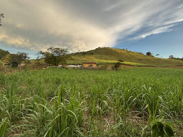 LOTE 1: Área Rural com 59,3248 ha - Barra do Córrego Santo Antônio TOMBOS MG, localizado em Tombos - MG