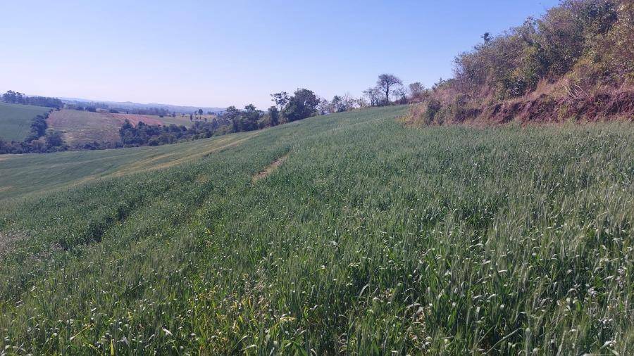 LOTE 13: Área Rural com 72.600,00 m² - Zona Rural NOVA TEBAS PR, localizado em Nova Tebas - PR