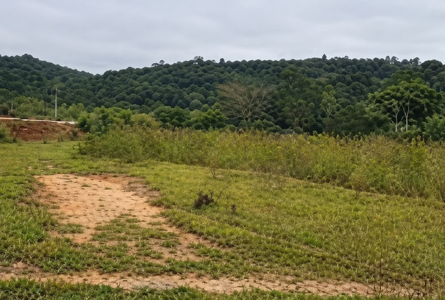 Imagem do imóvel LOTE 5: Terreno com 25.978 m² - Jd. Aracy ITAQUAQUECETUBA SP