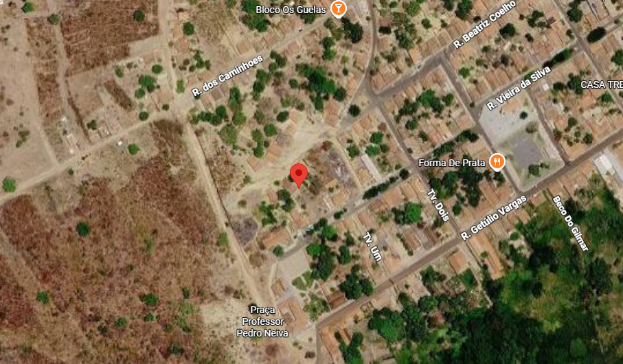 Imagem do imóvel LOTE 1: Área rural (Matr 10) com 1.278,6600 hectares BENEDITO LEITE MA