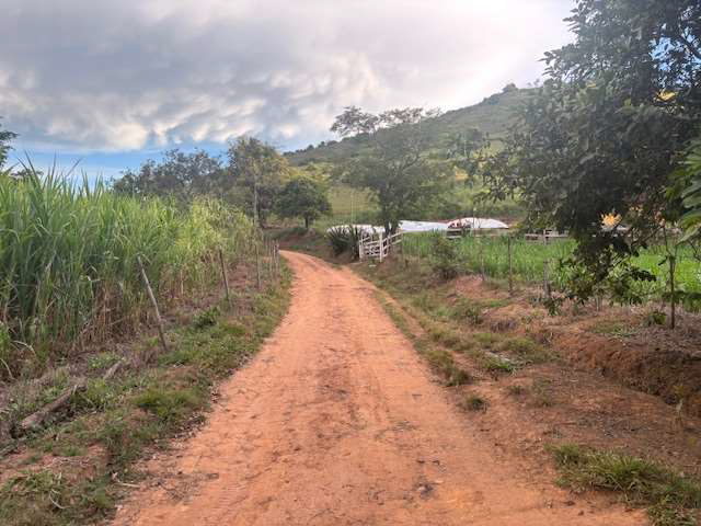 LOTE 1: Área Rural com 59,3248 ha - Barra do Córrego Santo Antônio TOMBOS MG, localizado em Tombos - MG