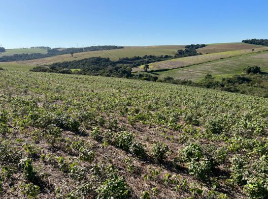 Área Rural com 32.0127ha - Zona Rural