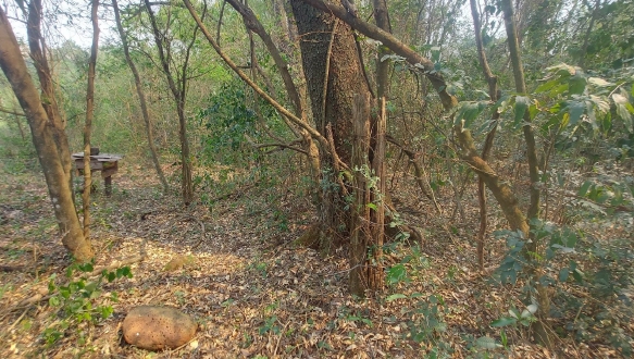 LOTE 2: Lote Rural com 20.750,68 m² - Fazenda Britânia, localizado em Mercedes - PR