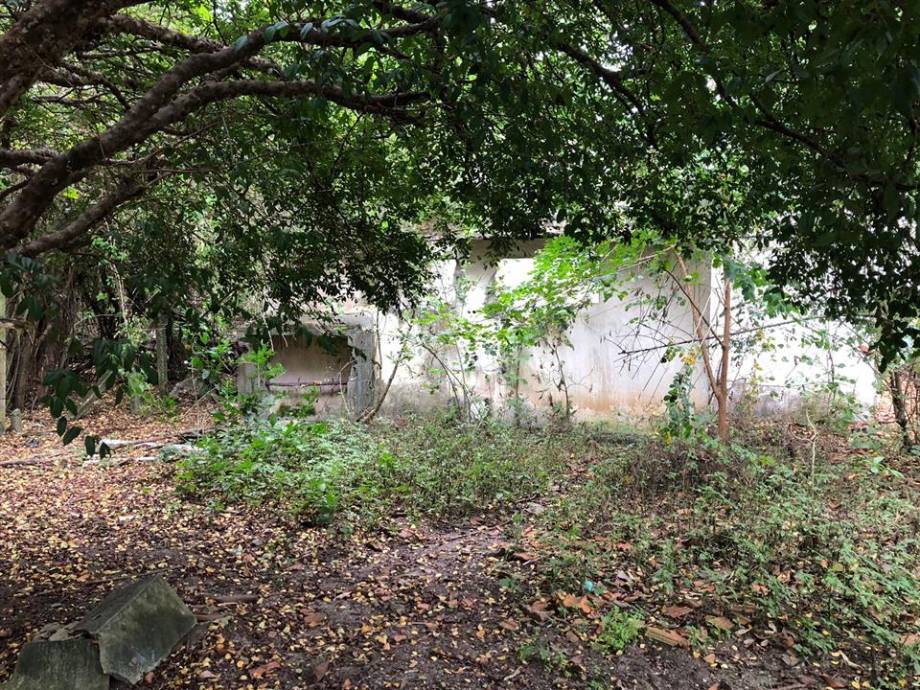 Terreno no Parque Sao Cristovao (foto 5 de 8)