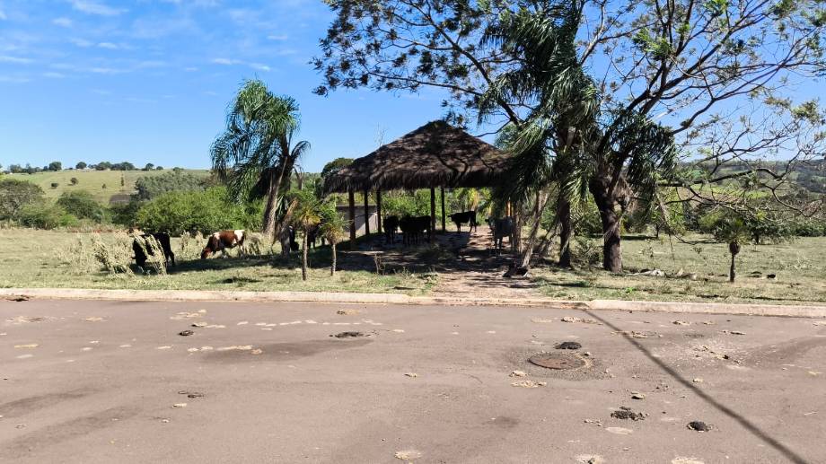LOTE 3: Lote, Padrão, 0 vaga(s) de garagem Pérola PR, localizado em Pérola - PR