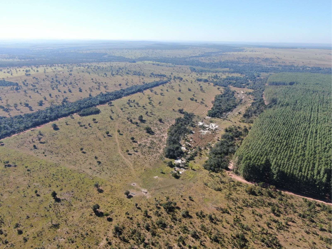 Imagem do imóvel LOTE 1: Área rural com 120,3821 ha - Inocência INOCÊNCIA MS