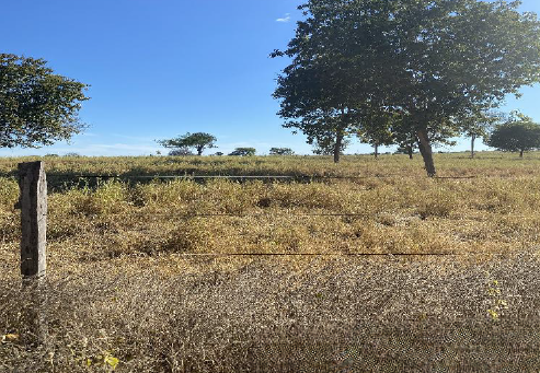 LOTE 1: 3 imóveis rurais com total de 621,4857 ha SÍTIO DO MATO BA, localizado em Sítio Do Mato - BA
