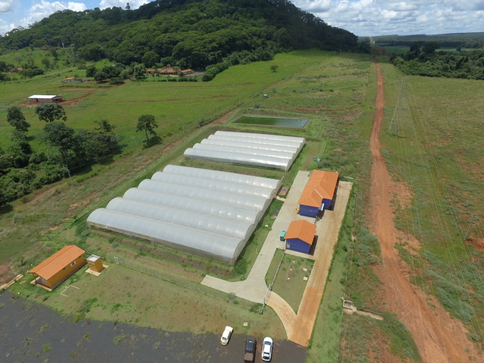 MEU LEILÃO VIP - 10 IMÓVEIS