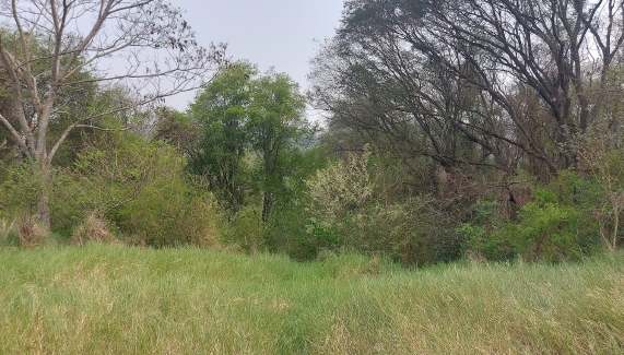 LOTE 2: Lote Rural com 20.750,68 m² - Fazenda Britânia, localizado em Mercedes - PR