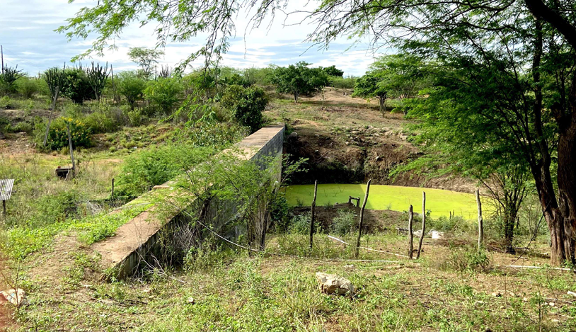 Gleba na Zona Rural (foto 6 de 6)