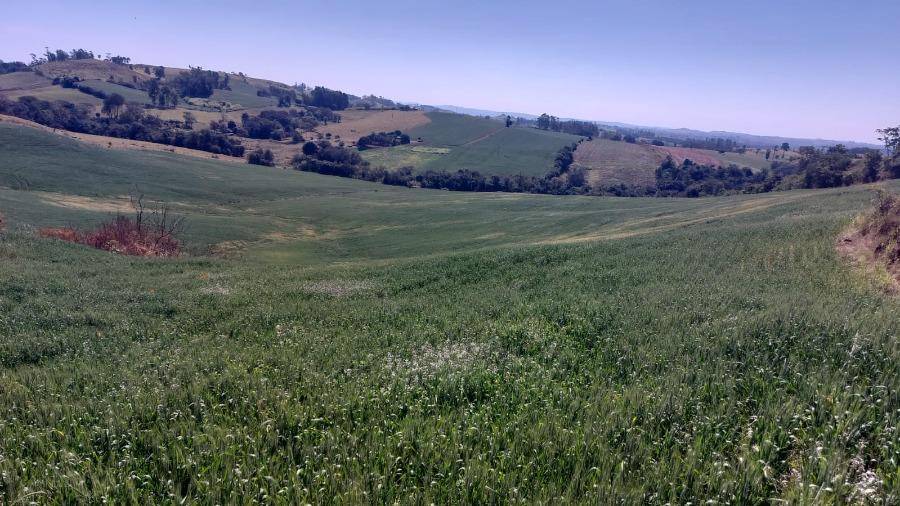 Imagem do imóvel LOTE 14: Área Rural com 72.600,00 m² - Colônia Muquilão NOVA TEBAS PR