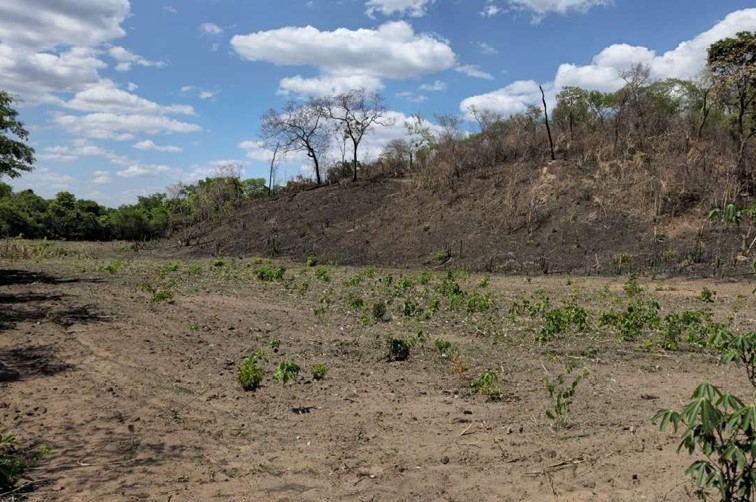 LOTE 1: Terreno com 76.565ha - Pindaíba BAIXA GRANDE DO RIBEIRO PI, localizado em Baixa Grande Do Ribeiro - PI