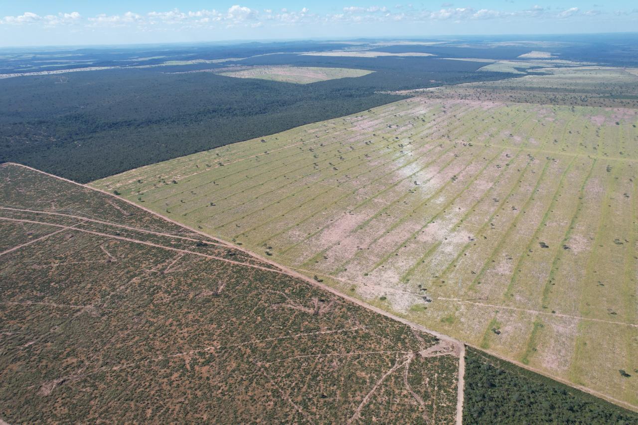 INVISTA NO CAMPO: FAZENDA COM 3.149HA PARANATINGA/MT