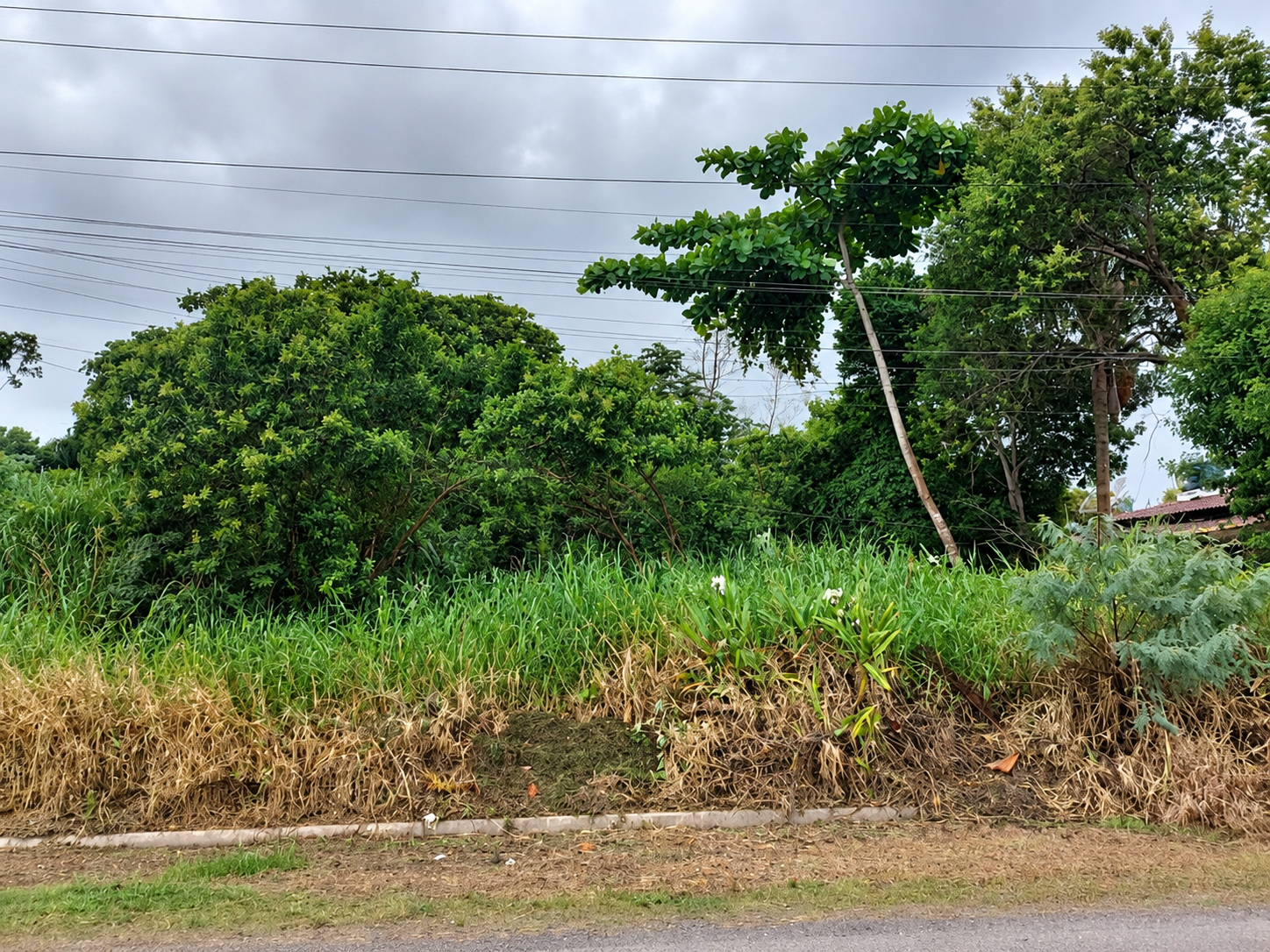 Terreno com 250,00 m² - Balneário Adriana — foto principal