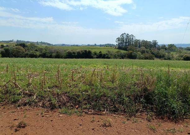 Imagem do imóvel LOTE 12: Área Rural com 30.250,00 m² - Colônia Muquilão NOVA TEBAS PR