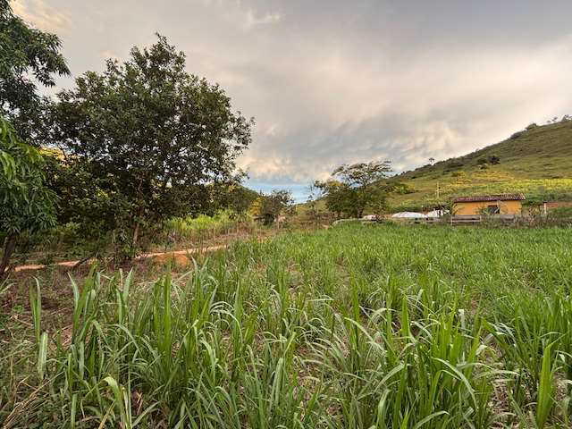 LOTE 1: Área Rural com 59,3248 ha - Barra do Córrego Santo Antônio TOMBOS MG, localizado em Tombos - MG