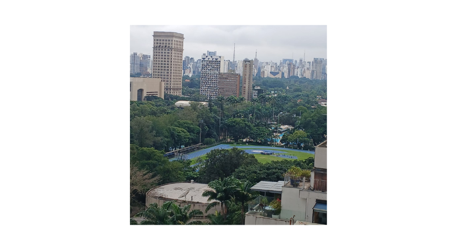 LOTE 1: Direitos sobre Duplex de Luxo com 672m² no JD. Europa - (02) SÃO PAULO SP, localizado em São Paulo - SP, bairro Jardim Europa