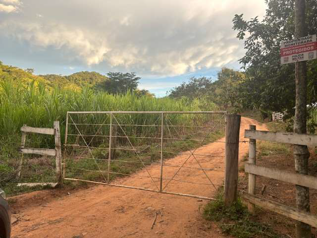 LOTE 1: Área Rural com 59,3248 ha - Barra do Córrego Santo Antônio TOMBOS MG, localizado em Tombos - MG