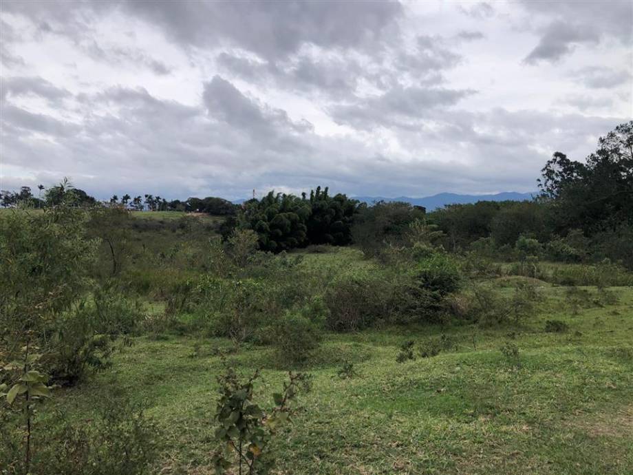 Terreno no Parque Sao Cristovao (foto 4 de 8)