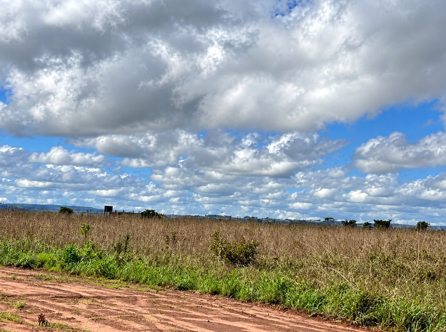ÁREAS RURAIS, DENOMINADO FAZENDA SANTA CLARA EM CAMPO VERDE/MT