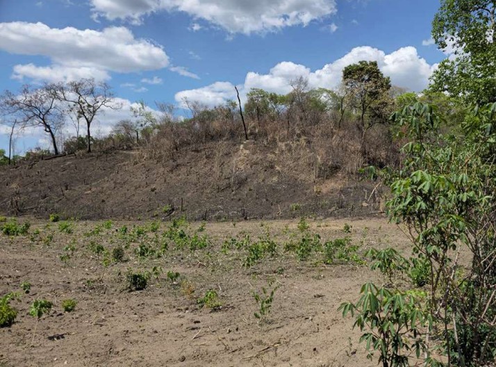 LOTE 1: Terreno com 76.565ha - Pindaíba BAIXA GRANDE DO RIBEIRO PI, localizado em Baixa Grande Do Ribeiro - PI
