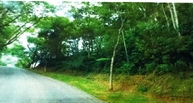 Terreno com 1.400,00 m² - Capitalville I JUNDIAÍ SP - leilão judicial - JUNDIAÍ SP - lance mínimo R$ 330.451