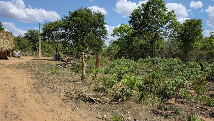 LOTE 1: Terreno com 76.565ha - Pindaíba BAIXA GRANDE DO RIBEIRO PI, localizado em Baixa Grande Do Ribeiro - PI
