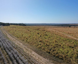 Área Rural com 148,8597Ha - Fazenda Novo Horizonte