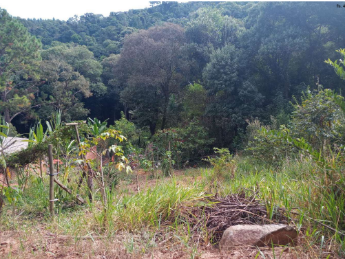 LOTE 1: Direitos sobre gleba de terras, com 2000m² PIEDADE SP