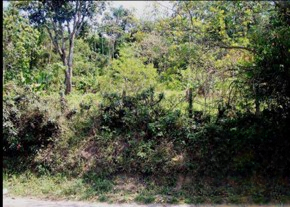 Terreno urbano com 14.237,63m² - Jardim Rodeio MOGI DAS CRUZES SP - leilão judicial - MOGI DAS CRUZES SP - lance mínimo R$ 6.251.681