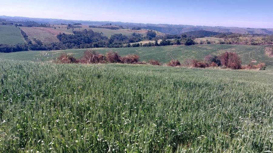 LOTE 14: Área Rural com 72.600,00 m² - Colônia Muquilão NOVA TEBAS PR, localizado em Nova Tebas - PR