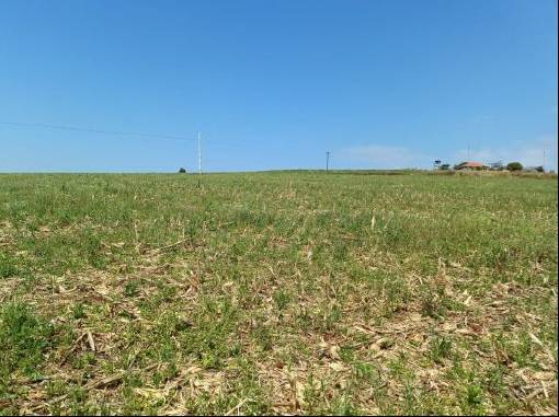 LOTE 12: Área Rural com 30.250,00 m² - Colônia Muquilão NOVA TEBAS PR, localizado em Nova Tebas - PR