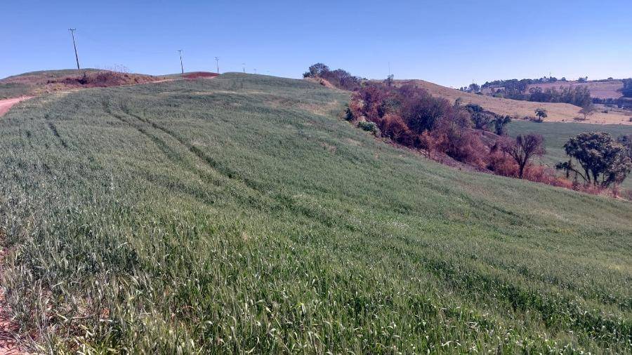 LOTE 13: Área Rural com 72.600,00 m² - Zona Rural NOVA TEBAS PR, localizado em Nova Tebas - PR