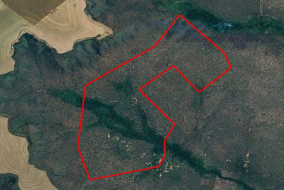 Imóvel Rural com 354,0195ha - Zona Rural LORETO MA - leilão extrajudicial - LORETO MA - lance mínimo R$ 2.150.000