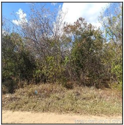 Terreno - LOTEAMENTO BAIRRO PIONEIRO JAÍBA MG - leilão extrajudicial - JAÍBA MG - lance mínimo R$ 82.954