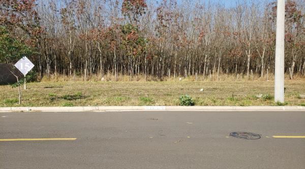 Lote 8: terreno (lote nº 07) com 200,00 m² - jd. engenheiro schmitt são josé do rio preto sp