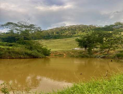 LOTE 1: Área Rural com 59,3248 ha - Barra do Córrego Santo Antônio TOMBOS MG, localizado em Tombos - MG