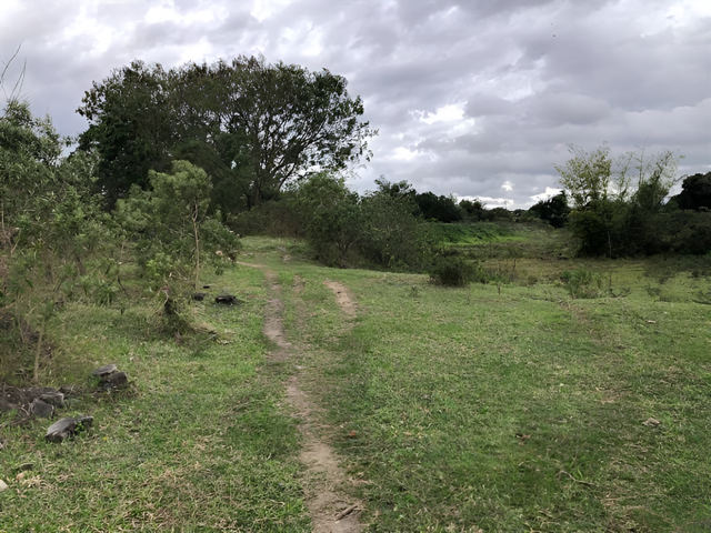 Terreno no Parque Sao Cristovao (foto 7 de 8)