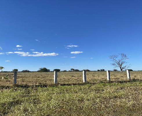 LOTE 1: 3 imóveis rurais com total de 621,4857 ha SÍTIO DO MATO BA, localizado em Sítio Do Mato - BA