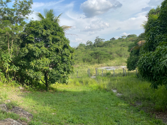 LOTE 19: Terreno de cultura com 1,2 ha - Zona rural terra vermelha CARUARU PE