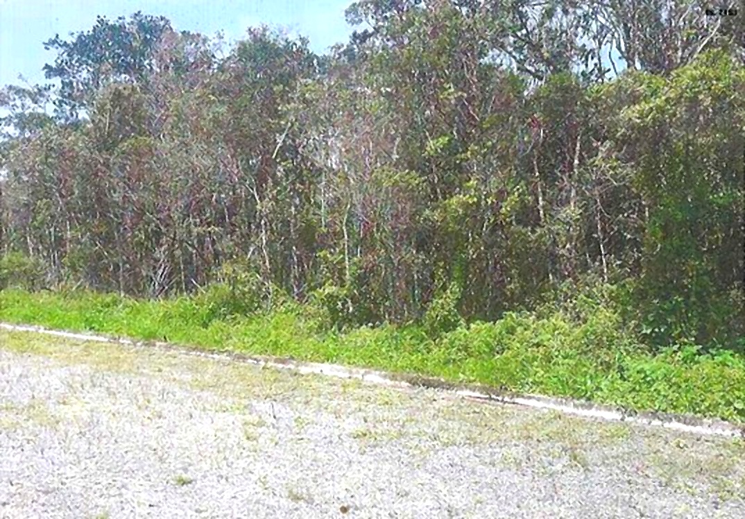 LOTE 2: Terreno com 396m² - Jardim Fênix ITANHAÉM SP, localizado em Itanhaém - SP, bairro Jardim Fênix