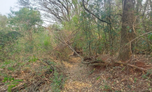 LOTE 2: Lote Rural com 20.750,68 m² - Fazenda Britânia, localizado em Mercedes - PR