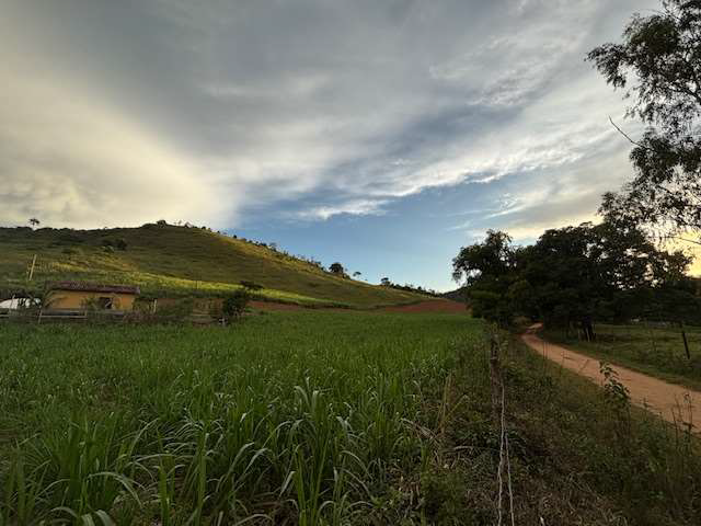LOTE 1: Área Rural com 59,3248 ha - Barra do Córrego Santo Antônio TOMBOS MG, localizado em Tombos - MG