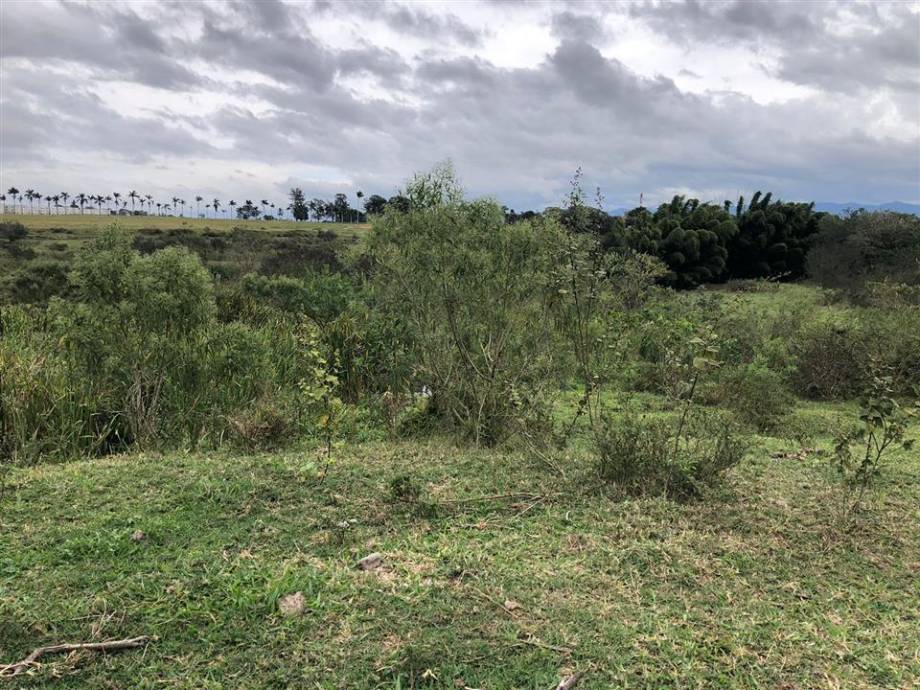 Terreno no Parque Sao Cristovao (foto 6 de 8)