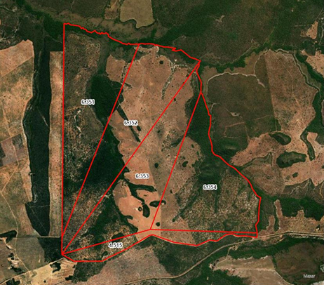 Fazendas com área total de 923,4591ha - Zona Rural ITIQUIRA MT - leilão extrajudicial - ITIQUIRA MT - lance mínimo R$ 41.293.186